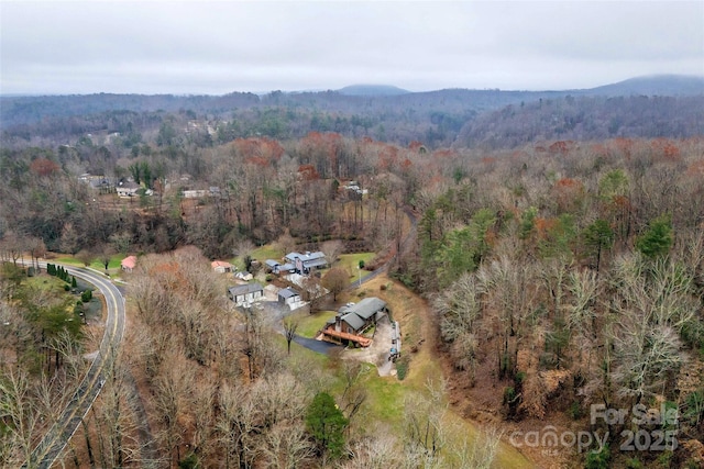 birds eye view of property featuring a mountain view