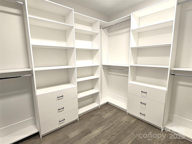 spacious closet with dark hardwood / wood-style flooring