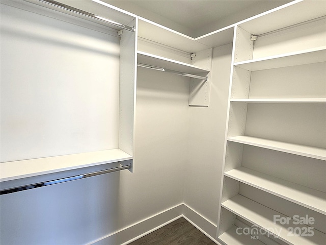 walk in closet with dark hardwood / wood-style flooring