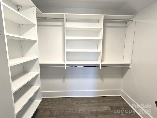 spacious closet with dark hardwood / wood-style flooring