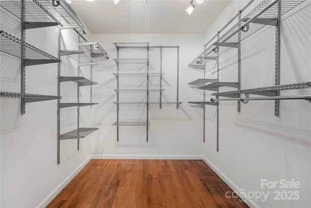 spacious closet featuring wood-type flooring