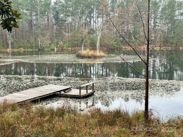 dock area with a water view