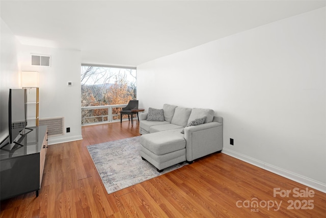 living room featuring hardwood / wood-style floors