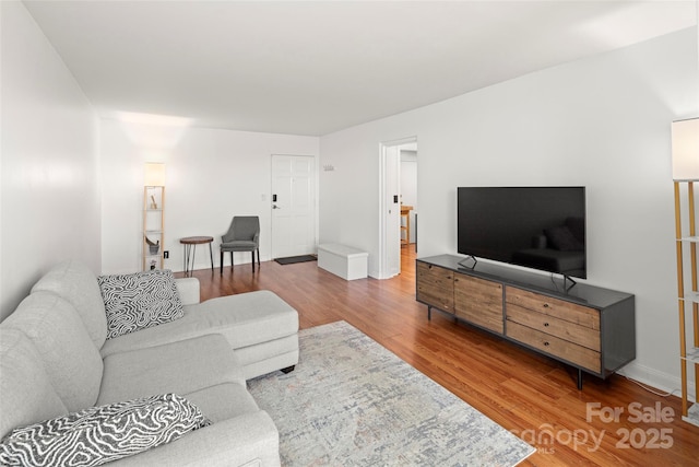 living room with wood-type flooring