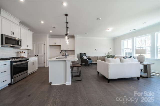 kitchen featuring open floor plan, appliances with stainless steel finishes, dark wood-style flooring, and a sink