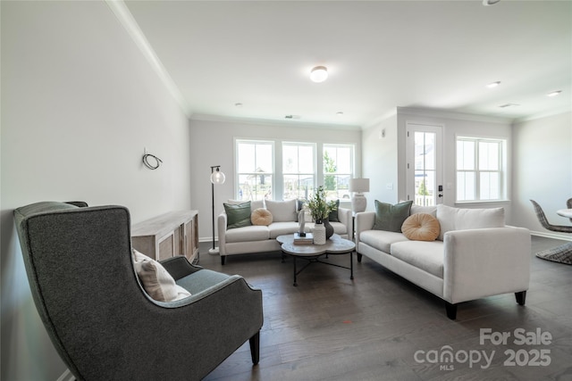 living room with crown molding and wood finished floors