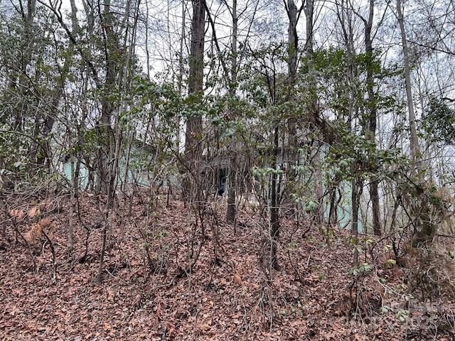view of wooded area