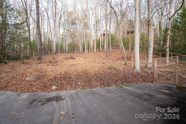 106 Buffalo Trl, Asheville, NC 28805 - photo 19