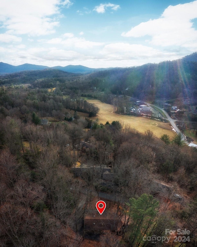 106 Buffalo Trl, Asheville, NC 28805 - photo 21
