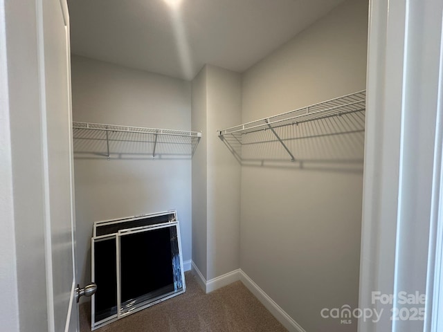 walk in closet featuring carpet