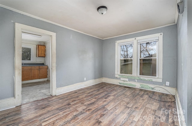 spare room featuring hardwood / wood-style flooring and crown molding