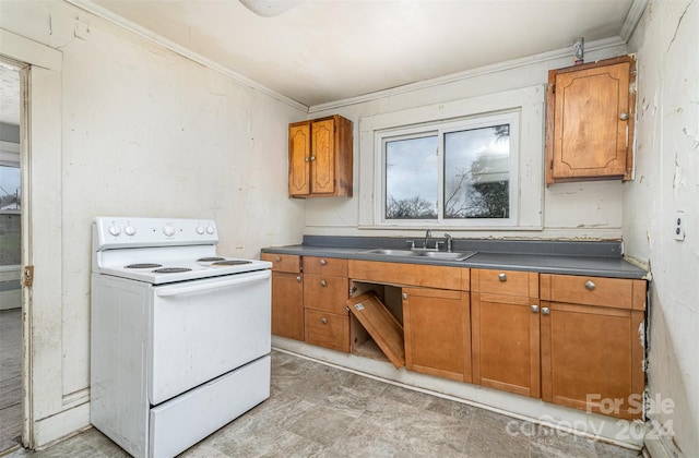 kitchen with white electric range, sink, and ornamental molding