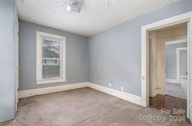 spare room with light colored carpet