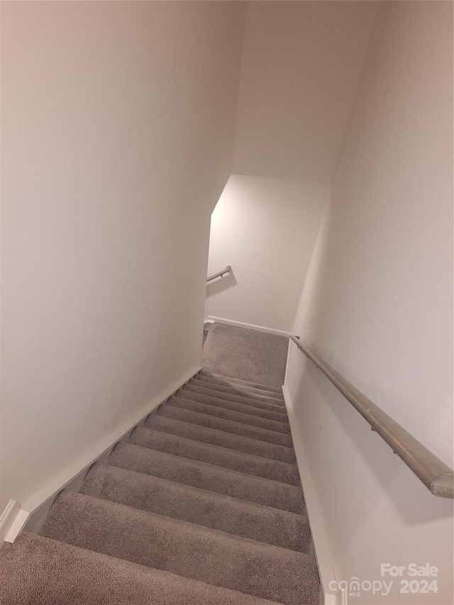 stairway featuring carpet flooring