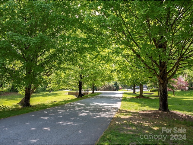 surrounding community with a yard