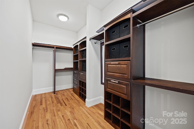 walk in closet with light wood-type flooring