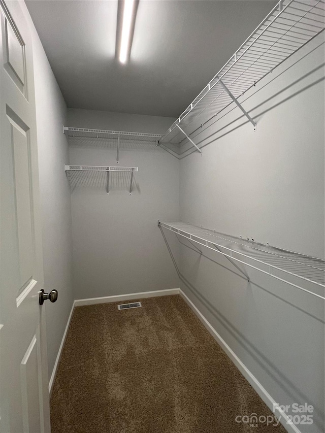 718 Park Ave, Salisbury, NC 28144 - walk in closet with carpet