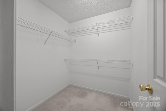 spacious closet with light carpet