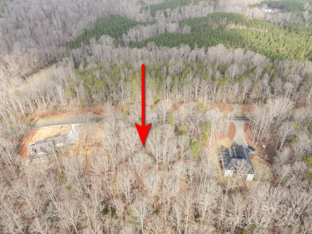 Listing photo 3 for LOT2 Vesuvius Furnace Rd, Denver NC 28037