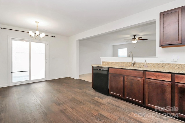 kitchen featuring dark wood-type flooring, ceiling fan with notable chandelier, sink, light stone countertops, and black dishwasher