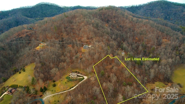 15 Larkspur Way Unit 15, Mars Hill, NC 28754 - photo 21