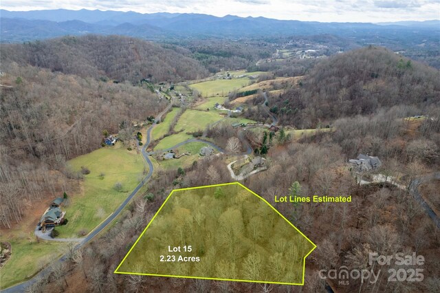 15 Larkspur Way Unit 15, Mars Hill, NC 28754 - photo 22