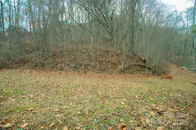 15 Larkspur Way Unit 15, Mars Hill, NC 28754 - photo 25