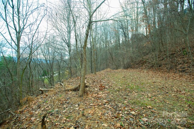 15 Larkspur Way Unit 15, Mars Hill, NC 28754 - photo 27