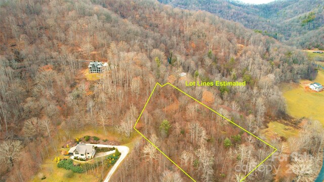 15 Larkspur Way Unit 15, Mars Hill, NC 28754 - photo 28