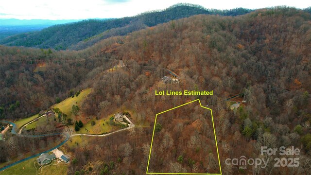 15 Larkspur Way Unit 15, Mars Hill, NC 28754 - photo 29