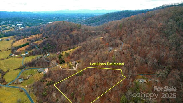 15 Larkspur Way Unit 15, Mars Hill, NC 28754 - photo 30