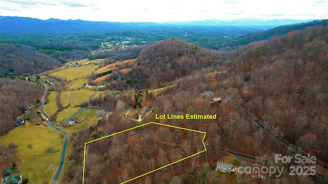 15 Larkspur Way Unit 15, Mars Hill, NC 28754 - photo 31