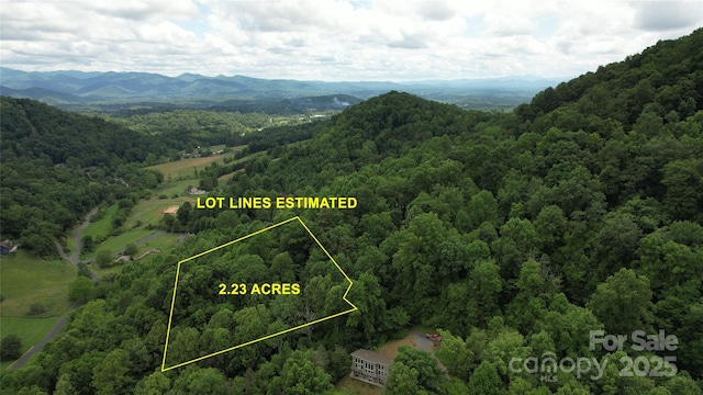 15 Larkspur Way Unit 15, Mars Hill, NC 28754 - photo 4