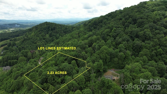 15 Larkspur Way Unit 15, Mars Hill, NC 28754 - photo 5