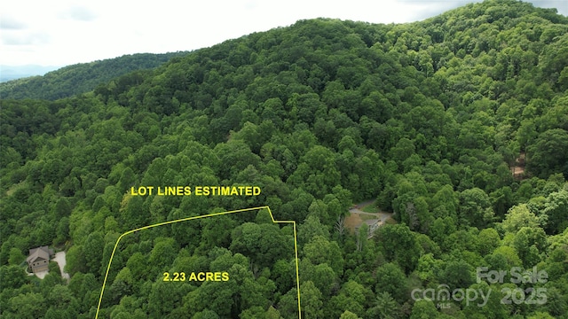 15 Larkspur Way Unit 15, Mars Hill, NC 28754 - photo 6