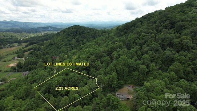 15 Larkspur Way Unit 15, Mars Hill, NC 28754 - photo 8