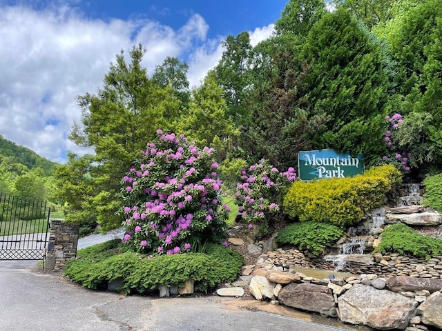 15 Larkspur Way Unit 15, Mars Hill, NC 28754 - photo 14
