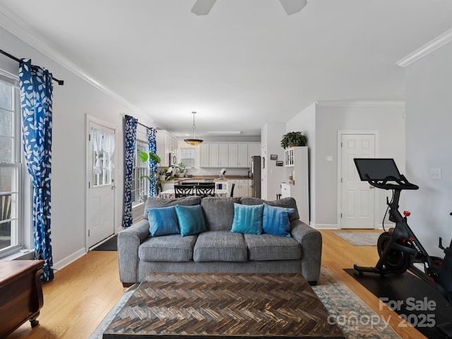 living room featuring crown molding and wood-type flooring