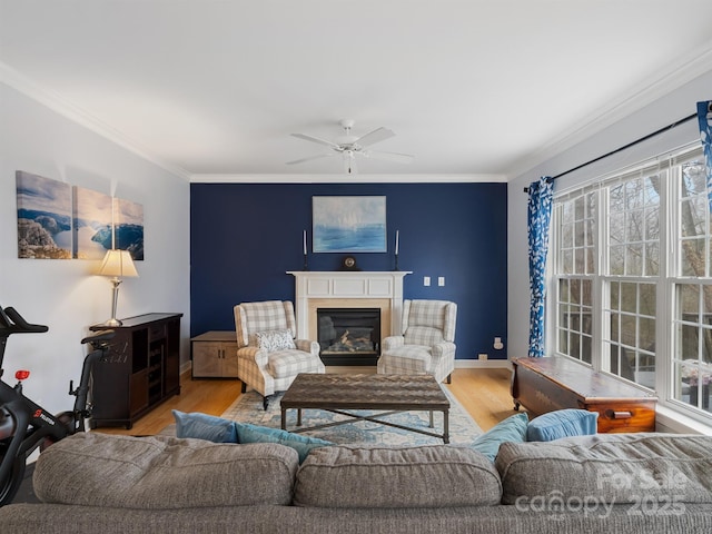 living room with hardwood / wood-style flooring, ornamental molding, and ceiling fan