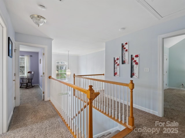 corridor with carpet flooring