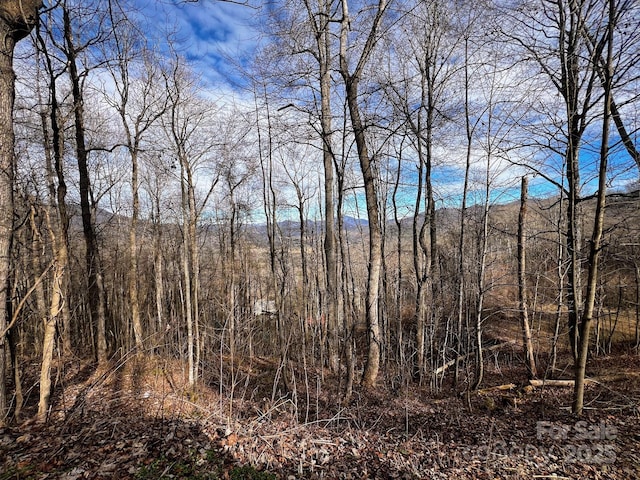 618 Billy Bob Trl, Waynesville NC, 28786 land for sale