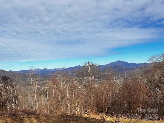 Listing photo 2 for 618 Billy Bob Trl, Waynesville NC 28786