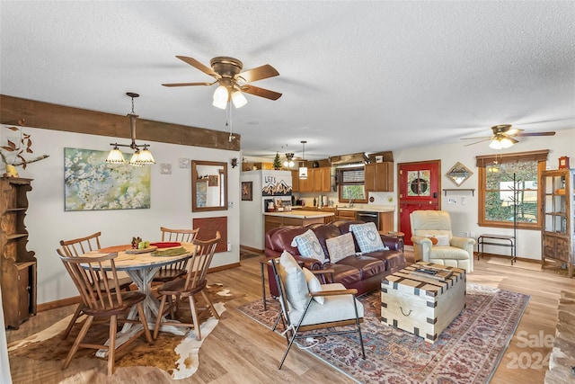 living room featuring ceiling fan with notable chandelier, a textured ceiling, and light wood-type flooring