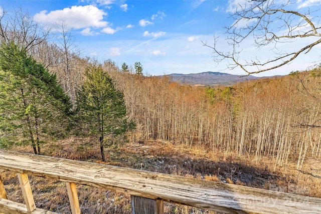 view of mountain feature