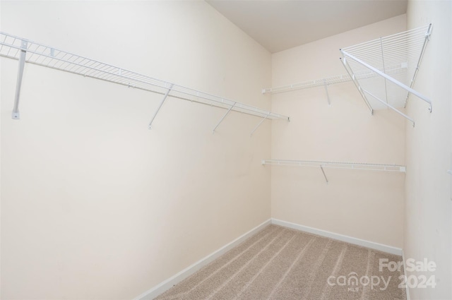 walk in closet featuring carpet floors