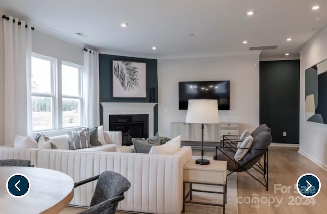 living room featuring light hardwood / wood-style floors