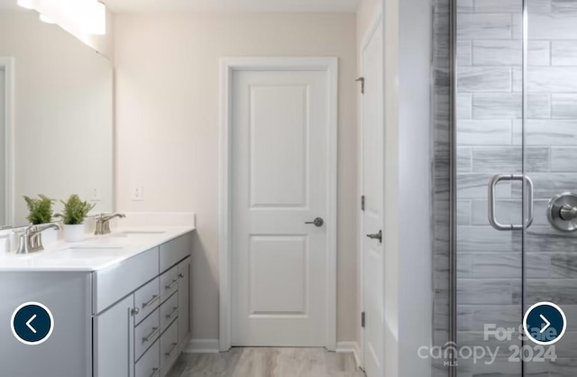 bathroom featuring vanity and a shower with shower door