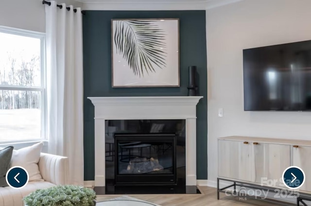 living room featuring wood finished floors, a fireplace with flush hearth, and a healthy amount of sunlight