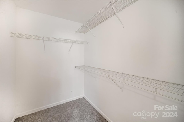 12039 Windy Rock Way, Charlotte, NC 28273 - walk in closet featuring carpet flooring