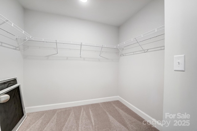 walk in closet featuring carpet flooring